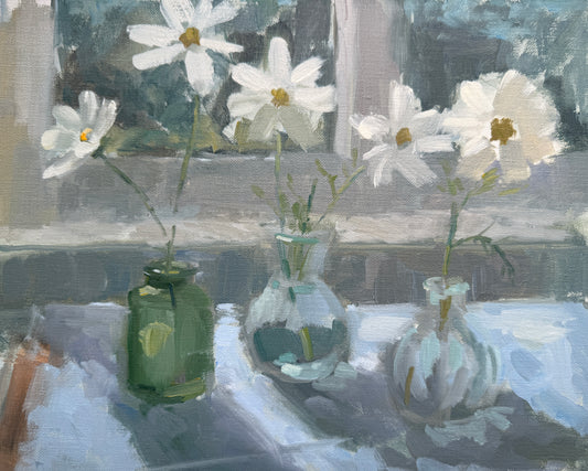 Cosmos, Colour Study